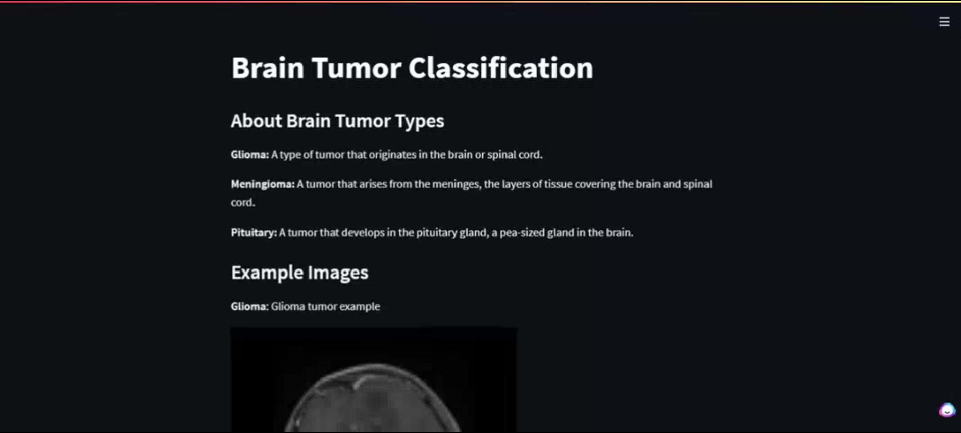 BRAIN_TUMOR_DETECTOR